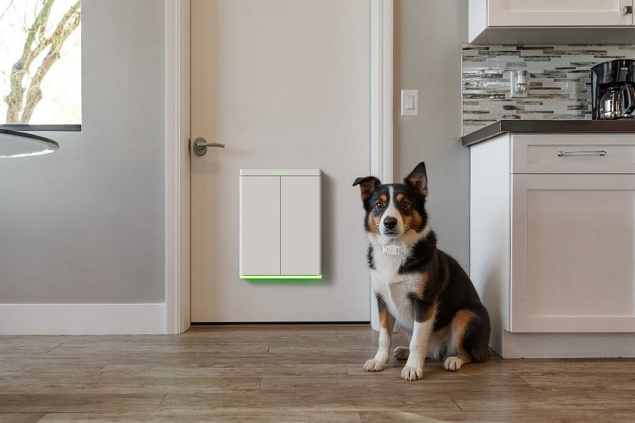 Pawport smart pet door in Glacier finish installed in an entry door, dog waiting beside it